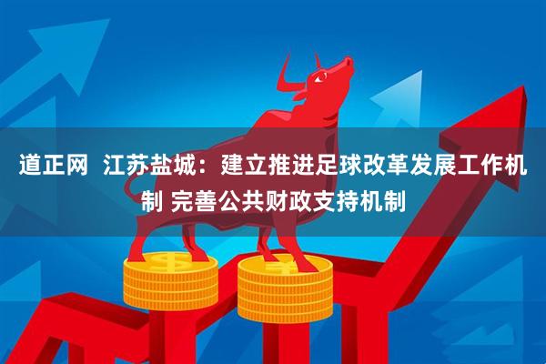 道正网  江苏盐城：建立推进足球改革发展工作机制 完善公共财政支持机制
